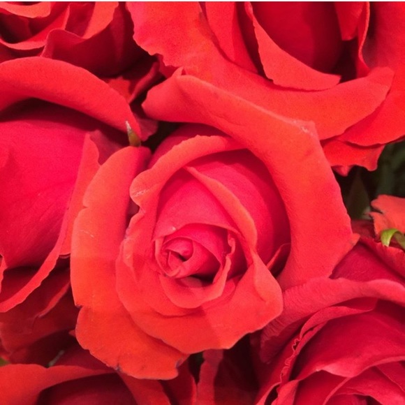 Meet your Posher, Stephanie - Picture 1 of 1